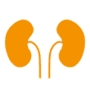 Urologie Frohnau